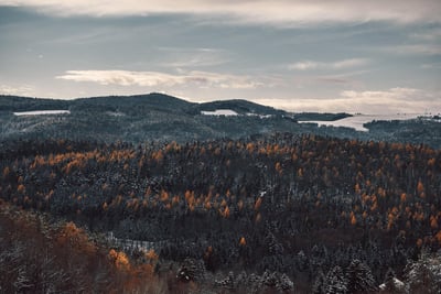 Welche Temperatur zerstört den Geschmack jeder Speise?